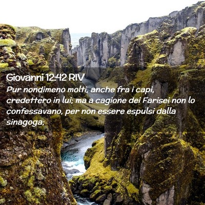 Picture 02 - Giovanni 12:42 RIV - Pur nondimeno molti, anche fra i capi, credettero - Bible Verse Picture