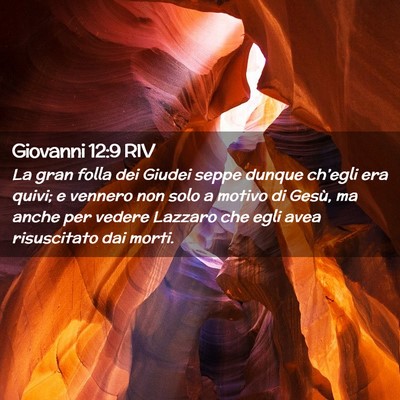 Picture 02 - Giovanni 12:9 RIV - La gran folla dei Giudei seppe dunque ch’egli - Bible Verse Picture