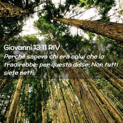Picture 02 - Giovanni 13:11 RIV - Perché sapeva chi era colui che lo tradirebbe; - Bible Verse Picture
