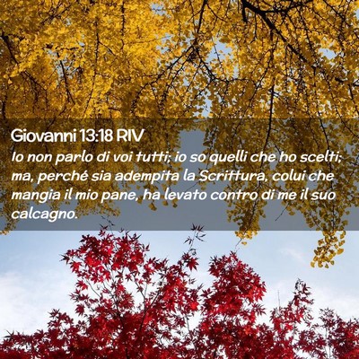 Picture 02 - Giovanni 13:18 RIV - Io non parlo di voi tutti; io so quelli che ho - Bible Verse Picture