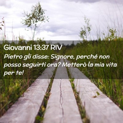 Picture 02 - Giovanni 13:37 RIV - Pietro gli disse: Signore, perché non posso - Bible Verse Picture