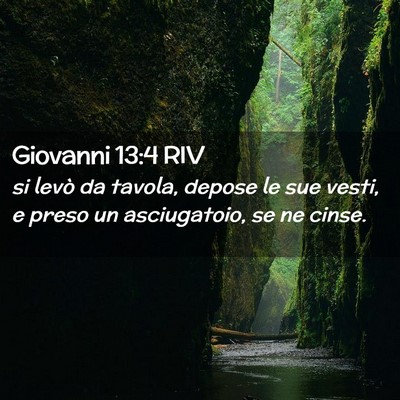 Picture 02 - Giovanni 13:4 RIV - si levò da tavola, depose le sue vesti, e preso - Bible Verse Picture