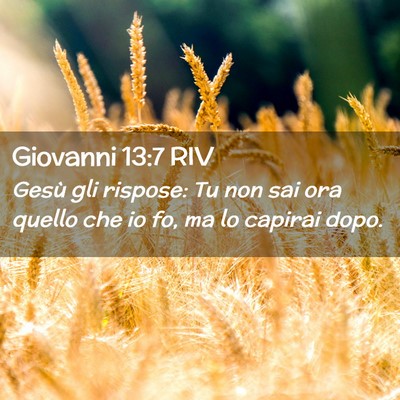 Picture 02 - Giovanni 13:7 RIV - Gesù gli rispose: Tu non sai ora quello che io - Bible Verse Picture