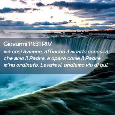 Picture 02 - Giovanni 14:31 RIV - ma così avviene, affinché il mondo conosca che - Bible Verse Picture