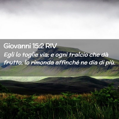 Picture 02 - Giovanni 15:2 RIV - Egli lo toglie via; e ogni tralcio che dà - Bible Verse Picture