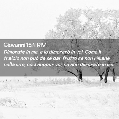 Picture 02 - Giovanni 15:4 RIV - Dimorate in me, e io dimorerò in voi. Come il - Bible Verse Picture