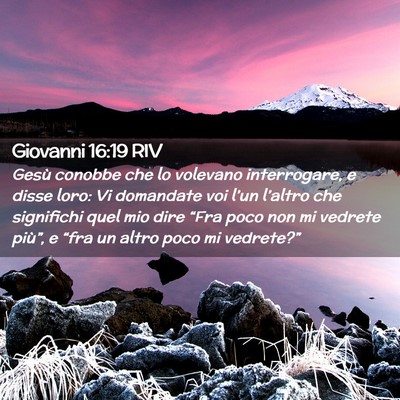 Picture 02 - Giovanni 16:19 RIV - Gesù conobbe che lo volevano interrogare, e - Bible Verse Picture