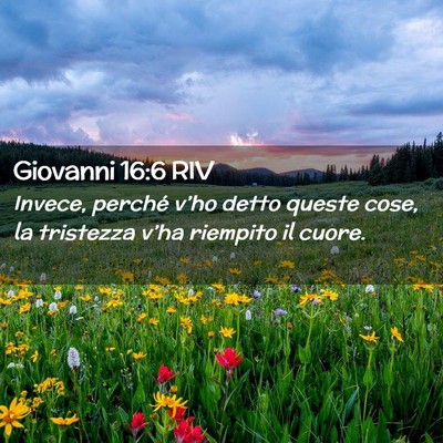 Picture 02 - Giovanni 16:6 RIV - Invece, perché v’ho detto queste cose, la - Bible Verse Picture