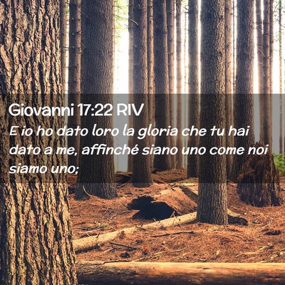 Picture 02 - Giovanni 17:22 RIV - E io ho dato loro la gloria che tu hai dato a me, - Bible Verse Picture