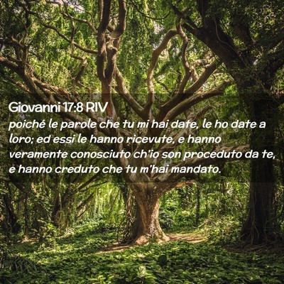 Picture 02 - Giovanni 17:8 RIV - poiché le parole che tu mi hai date, le ho date - Bible Verse Picture