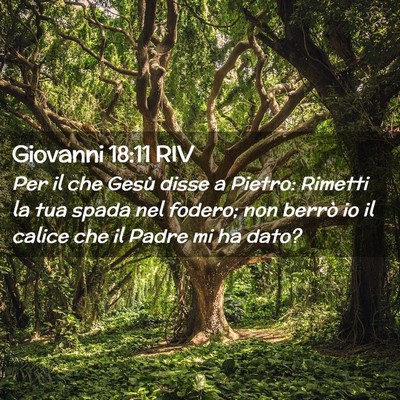 Picture 02 - Giovanni 18:11 RIV - Per il che Gesù disse a Pietro: Rimetti la tua - Bible Verse Picture