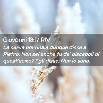 Picture 02 - Giovanni 18:17 RIV - La serva portinaia dunque disse a Pietro: Non sei - Bible Verse Picture