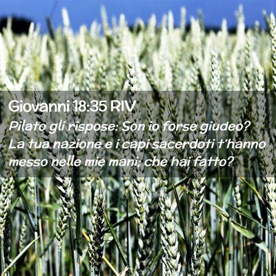Picture 02 - Giovanni 18:35 RIV - Pilato gli rispose: Son io forse giudeo? La tua - Bible Verse Picture