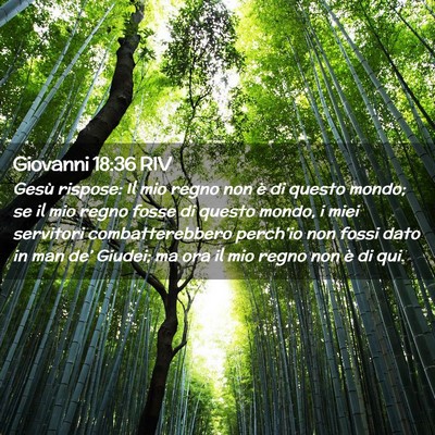 Picture 02 - Giovanni 18:36 RIV - Gesù rispose: Il mio regno non è di questo - Bible Verse Picture