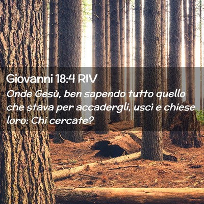 Picture 02 - Giovanni 18:4 RIV - Onde Gesù, ben sapendo tutto quello che stava - Bible Verse Picture
