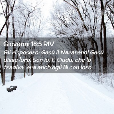 Picture 02 - Giovanni 18:5 RIV - Gli risposero: Gesù il Nazareno! Gesù disse - Bible Verse Picture