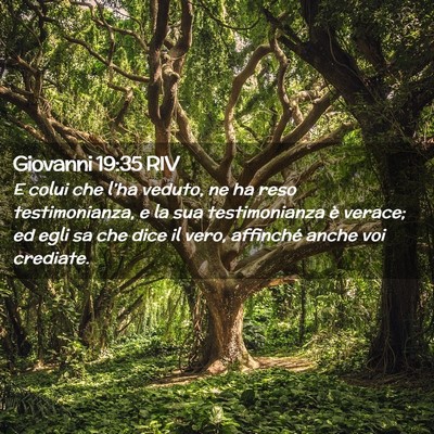 Picture 02 - Giovanni 19:35 RIV - E colui che l’ha veduto, ne ha reso - Bible Verse Picture