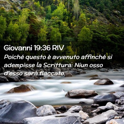Picture 02 - Giovanni 19:36 RIV - Poiché questo è avvenuto affinché si adempisse - Bible Verse Picture