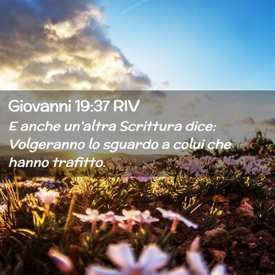 Picture 02 - Giovanni 19:37 RIV - E anche un’altra Scrittura dice: Volgeranno lo - Bible Verse Picture