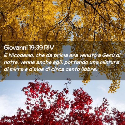 Picture 02 - Giovanni 19:39 RIV - E Nicodemo, che da prima era venuto a Gesù di - Bible Verse Picture