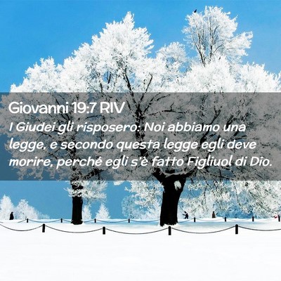 Picture 02 - Giovanni 19:7 RIV - I Giudei gli risposero: Noi abbiamo una legge, e - Bible Verse Picture