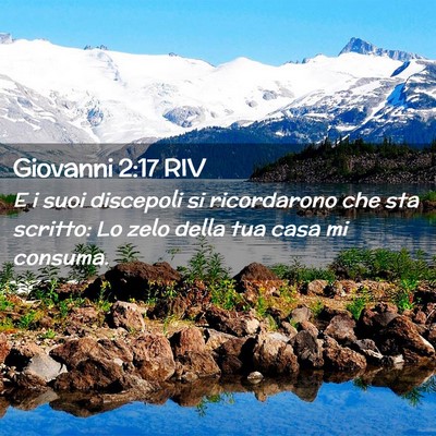 Picture 02 - Giovanni 2:17 RIV - E i suoi discepoli si ricordarono che sta - Bible Verse Picture