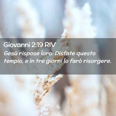 Picture 02 - Giovanni 2:19 RIV - Gesù rispose loro: Disfate questo tempio, e in - Bible Verse Picture