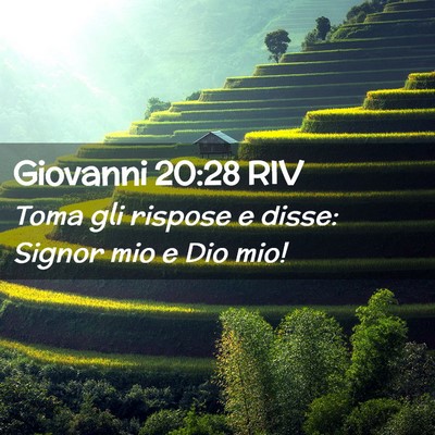 Picture 02 - Giovanni 20:28 RIV - Toma gli rispose e disse: Signor mio e Dio - Bible Verse Picture