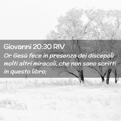 Picture 02 - Giovanni 20:30 RIV - Or Gesù fece in presenza dei discepoli molti - Bible Verse Picture
