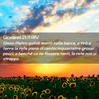 Picture 02 - Giovanni 21:11 RIV - Simon Pietro quindi montò nella barca, e tirò a - Bible Verse Picture