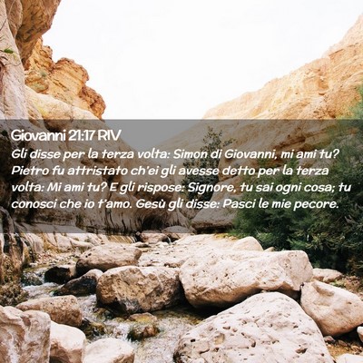 Picture 02 - Giovanni 21:17 RIV - Gli disse per la terza volta: Simon di Giovanni, - Bible Verse Picture