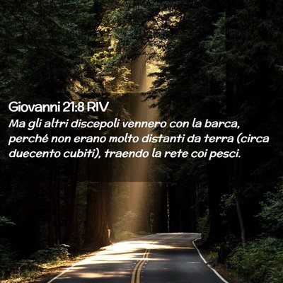 Picture 02 - Giovanni 21:8 RIV - Ma gli altri discepoli vennero con la barca, - Bible Verse Picture