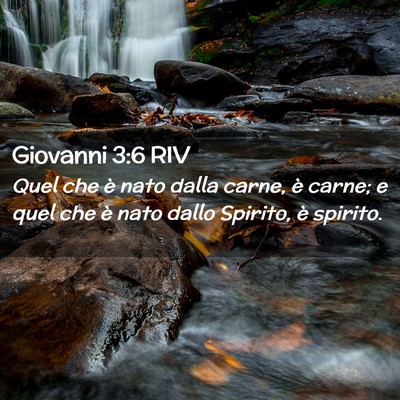 Picture 02 - Giovanni 3:6 RIV - Quel che è nato dalla carne, è carne; e quel - Bible Verse Picture