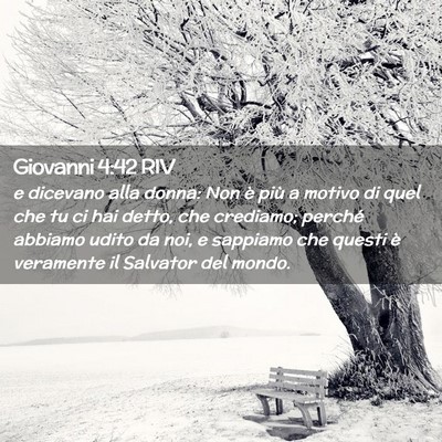 Picture 02 - Giovanni 4:42 RIV - e dicevano alla donna: Non è più a motivo di - Bible Verse Picture