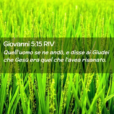 Picture 02 - Giovanni 5:15 RIV - Quell’uomo se ne andò, e disse ai Giudei che - Bible Verse Picture