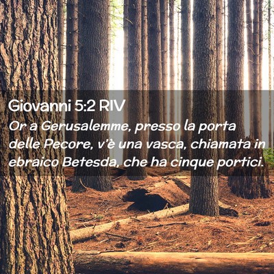 Picture 02 - Giovanni 5:2 RIV - Or a Gerusalemme, presso la porta delle Pecore, - Bible Verse Picture