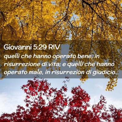Picture 02 - Giovanni 5:29 RIV - quelli che hanno operato bene, in risurrezione di - Bible Verse Picture