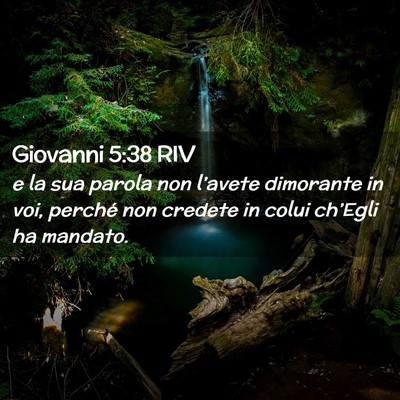 Picture 02 - Giovanni 5:38 RIV - e la sua parola non l’avete dimorante in voi, - Bible Verse Picture
