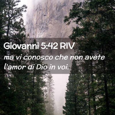 Picture 02 - Giovanni 5:42 RIV - ma vi conosco che non avete l’amor di Dio in - Bible Verse Picture