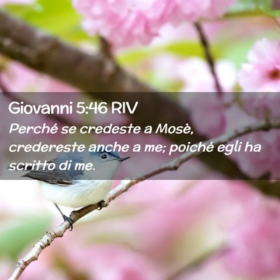 Picture 02 - Giovanni 5:46 RIV - Perché se credeste a Mosè, credereste anche a - Bible Verse Picture