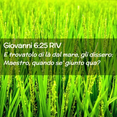 Picture 02 - Giovanni 6:25 RIV - E trovatolo di là dal mare, gli dissero: - Bible Verse Picture