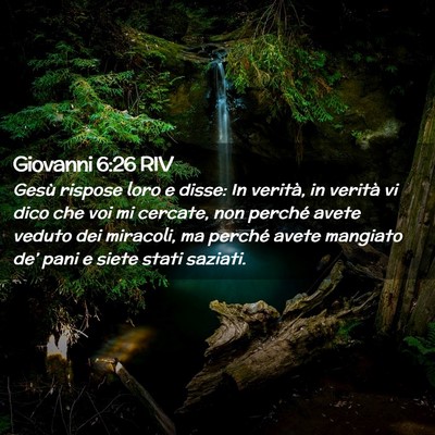 Picture 02 - Giovanni 6:26 RIV - Gesù rispose loro e disse: In verità, in - Bible Verse Picture