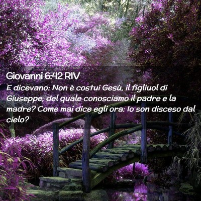 Picture 02 - Giovanni 6:42 RIV - E dicevano: Non è costui Gesù, il figliuol di - Bible Verse Picture