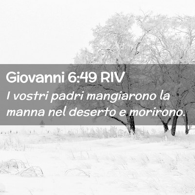 Picture 02 - Giovanni 6:49 RIV - I vostri padri mangiarono la manna nel deserto e - Bible Verse Picture