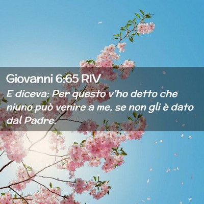 Picture 02 - Giovanni 6:65 RIV - E diceva: Per questo v’ho detto che niuno può - Bible Verse Picture