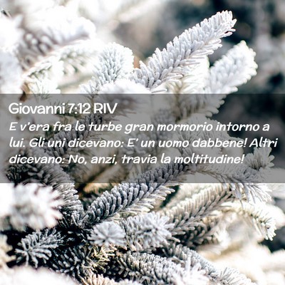 Picture 02 - Giovanni 7:12 RIV - E v’era fra le turbe gran mormorio intorno a - Bible Verse Picture