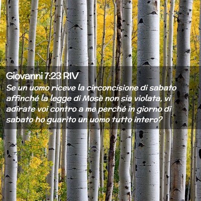 Picture 02 - Giovanni 7:23 RIV - Se un uomo riceve la circoncisione di sabato - Bible Verse Picture