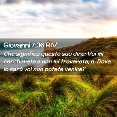 Picture 02 - Giovanni 7:36 RIV - Che significa questo suo dire: Voi mi cercherete - Bible Verse Picture