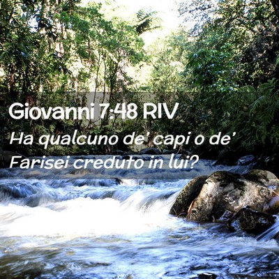 Picture 02 - Giovanni 7:48 RIV - Ha qualcuno de’ capi o de’ Farisei creduto in - Bible Verse Picture