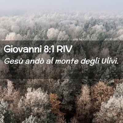Picture 02 - Giovanni 8:1 RIV - Gesù andò al monte degli - Bible Verse Picture